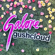 IMG 1774 2 1 &ndash; Lenox and Parker